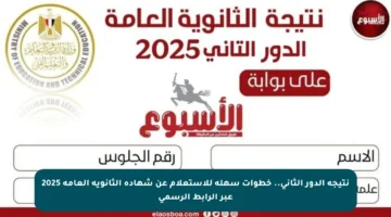 نتيجة الدور الثاني.. خطوات سهلة للاستعلام عن شهادة الثانوية العامة 2025 عبر الرابط الرسمي